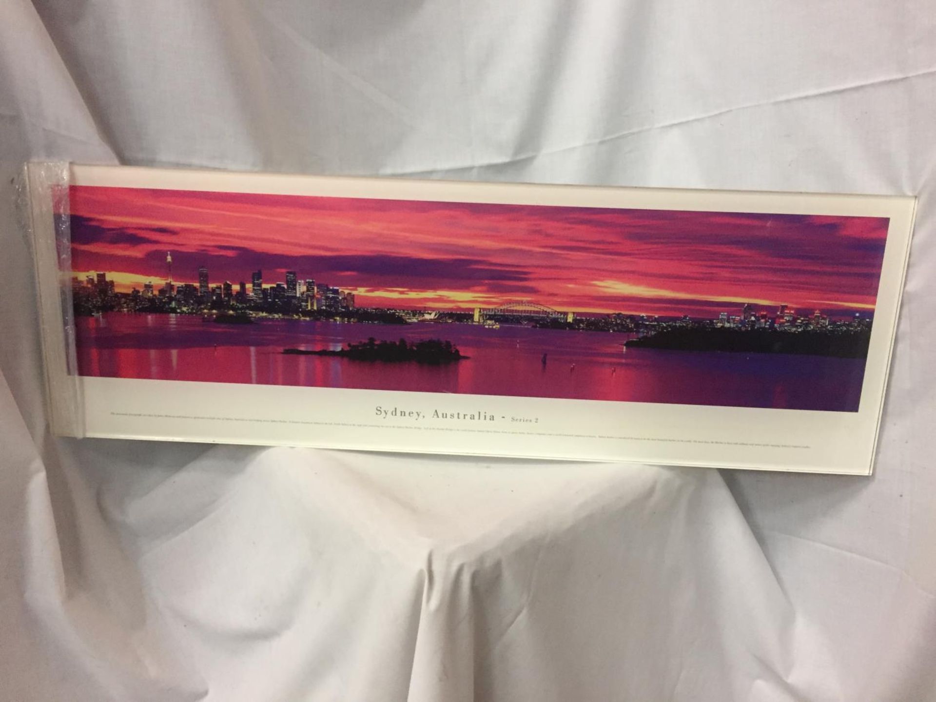 A LARGE PANORAMIC PRINT OF SYDNEY, AUSTRALIA