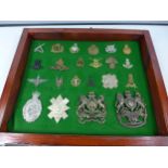 A GLAZED DISPLAY CASE CONTAINING TWENTY TWO BRITISH ARMY CAP BADGES, 34CM X 41CM