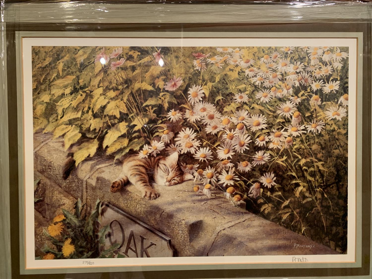 A FRAMED LIMITED EDITION PRINT OF 'TABBY CAT SUNBATHING' 272/850 BY P MONTEAGLE - Bild 3 aus 8