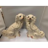 A PAIR OF STAFFORDSHIRE FLAT BACK SPANIELS APPROX 32CM HIGH