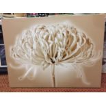 A LARGE CANVAS SIZE 99CM X 34CM CHRYSANTHEMUM COFFEE BY MIKE SHEPPARD