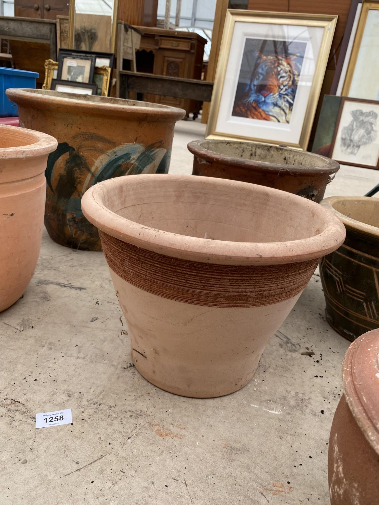 AN ASSORTMENT OF CERAMICA AND TERRACOTTA PLANTERS - Image 3 of 4
