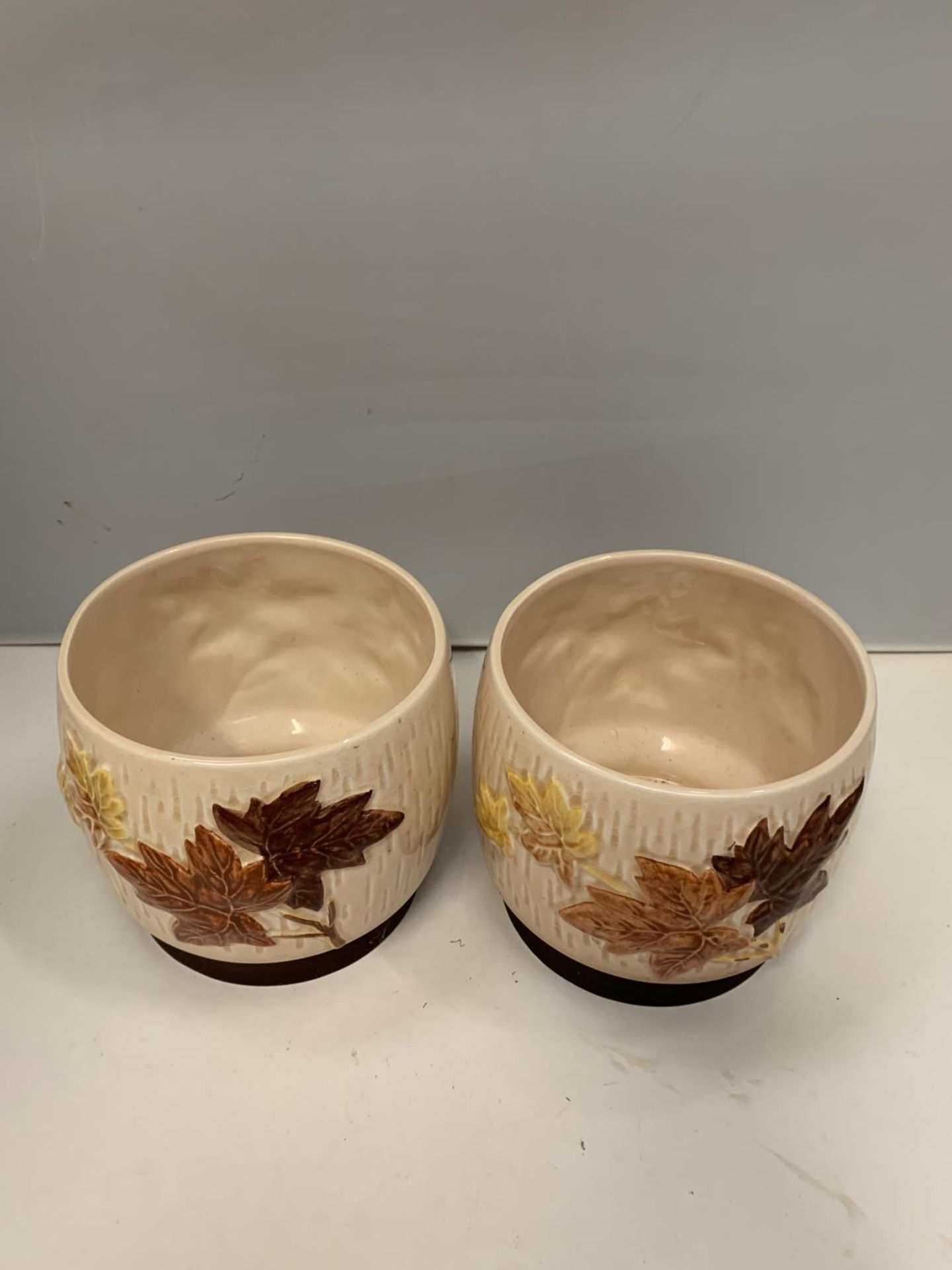 THREE ITEMS OF SYLVAC TO INCLUDE TWO PLANT POTS CREAM WITH LEAF DESIGN AND A VASE - Image 4 of 5