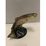 A BESWICK TROUT 1032 (ONE FIN A/F)