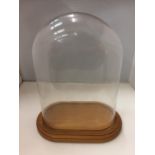 A GLASS DOMED CASE FOR CLOCKS ETC HEIGHT APPROX 38 CM
