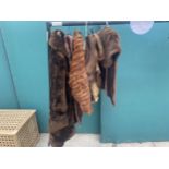AN ASSORTMENT OF VARIOUS LADIES FUR JACKETS (HANGERS AND RAIL NOT INCLUDED)