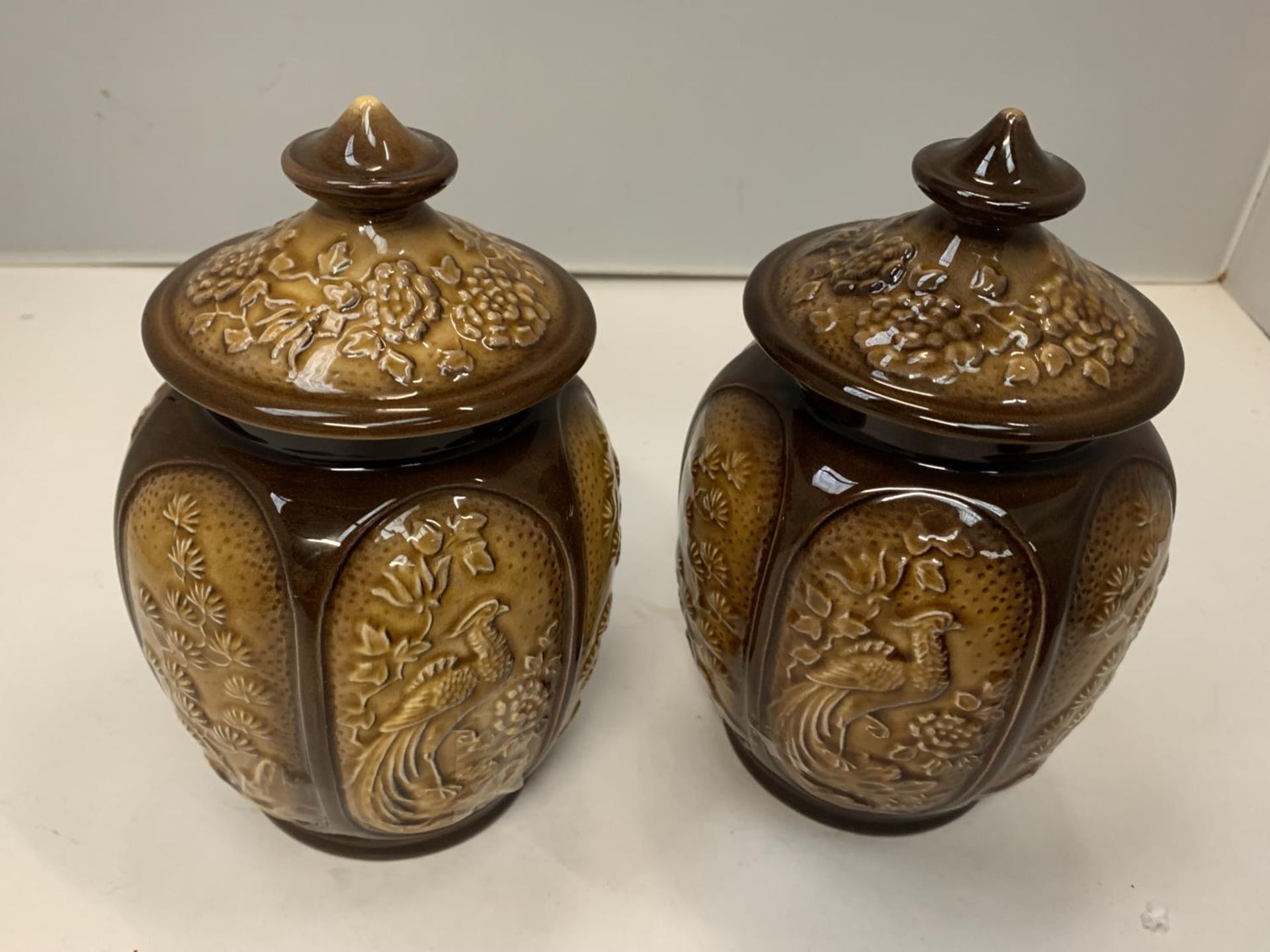 THREE SYLVAC LIDDED JARS TO INCLUDE TWO WITH BIRD DESIGN AND A BEETROOT - Image 3 of 8