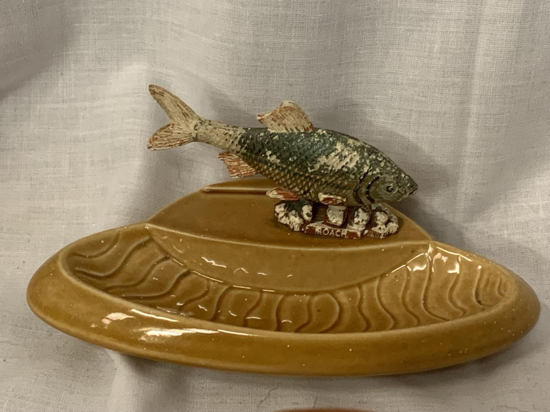 AN RK PRODUCT BY WADE OF ENGLAND PIN DISH WITH ROACH FISH