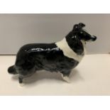 A BESWICK BLACK AND WHITE LONG HAIRED COLLIE DOG