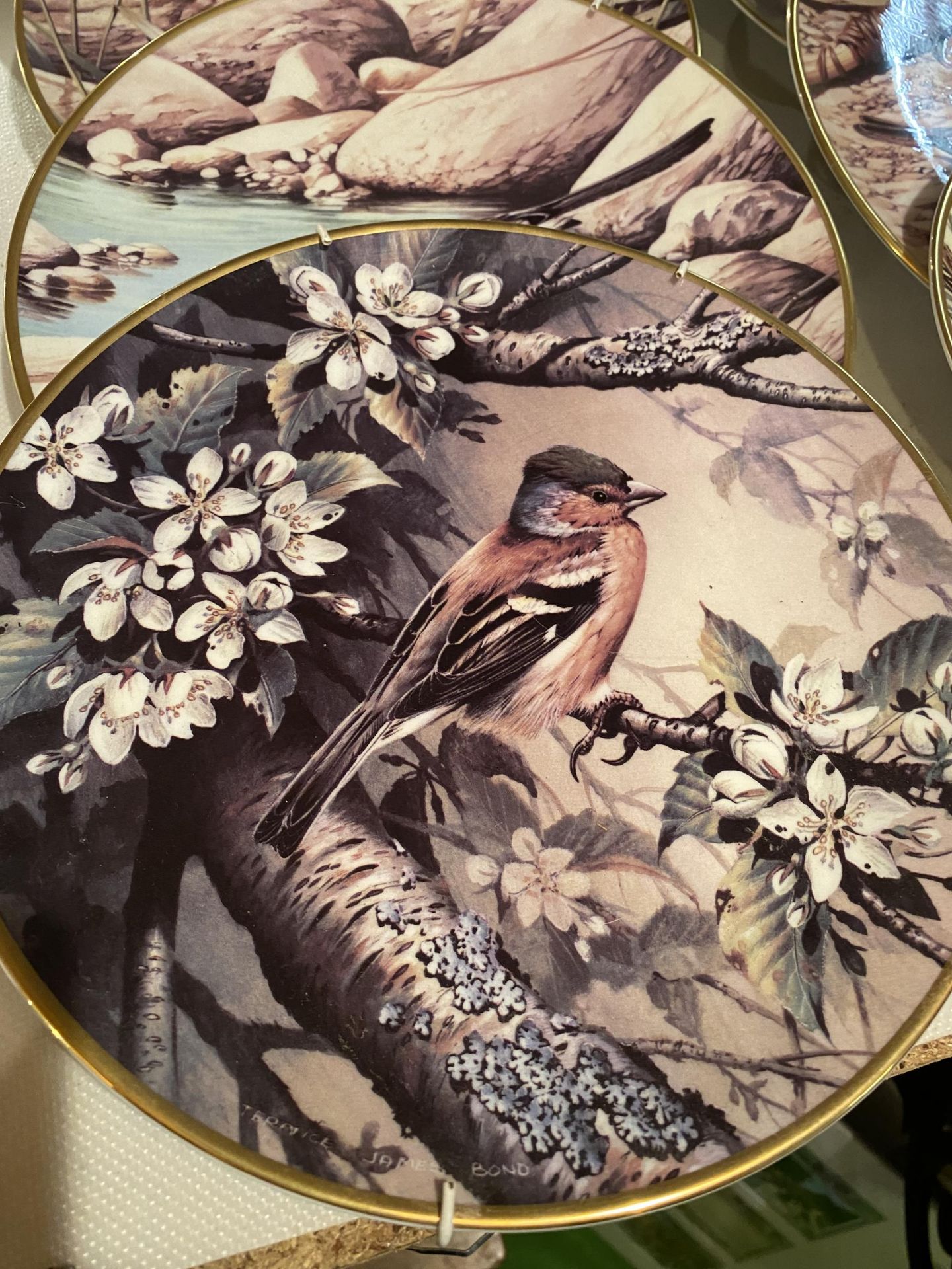 TEN RSPB COLLECTORS PLATES BY WEDGWOOD DEPICTING BIRDS, A PIECE OF GREEN JASPER WARE AND A ROYAL - Image 2 of 4