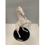 A ROYAL DOULTON HORSE ON A WOODEN PLINTH - SPIRIT OF THE WILD