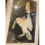 A FRAMED PASTILLE OF AN OWL, SIGNED