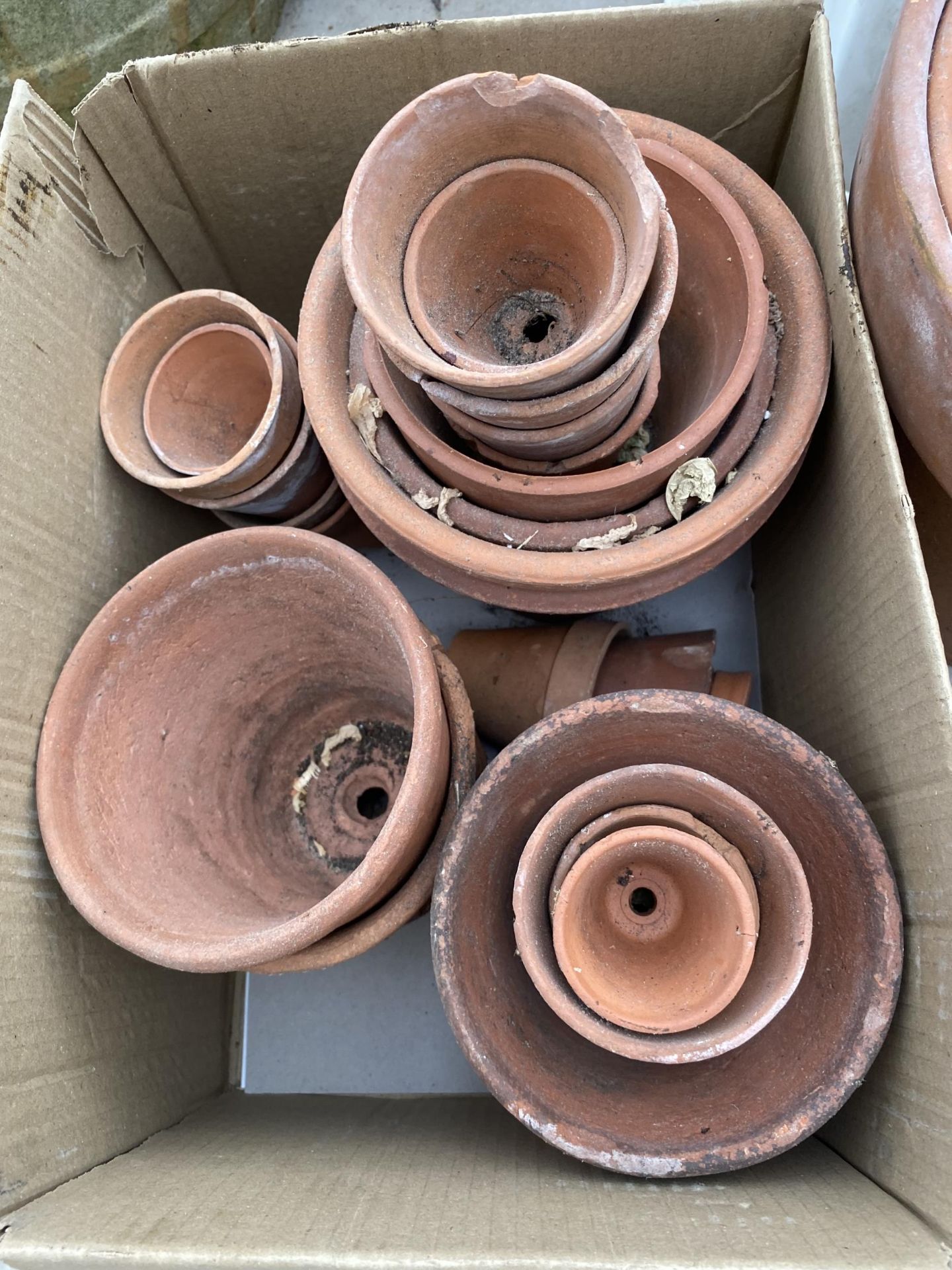 AN ASSORTMENT OF TERRACOTTA PLANT POTS - Image 3 of 3