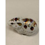 A ROYAL CROWN DERBY BANK VOLE WITH GOLD STOPPER