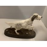 A BESWICK ENGLISH SETTER ON A CERAMIC PLINTH