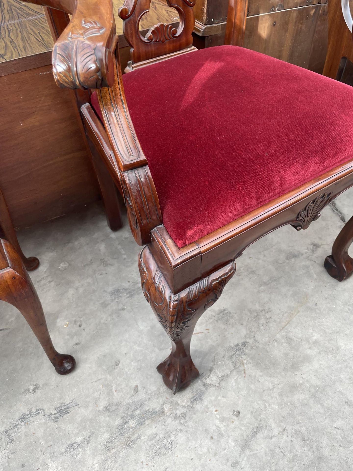 A MAHOGANY CHIPPENDALE STYLE CARVER CHAIR ON BALL AND CLAW FRONT FEET - Image 4 of 4