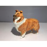 A BESWICK ROUGH COLLIE ' LOCHINVAAR OF LADY PARK