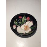 A MOORCROFT TRIAL BOWL ROSA CANINA