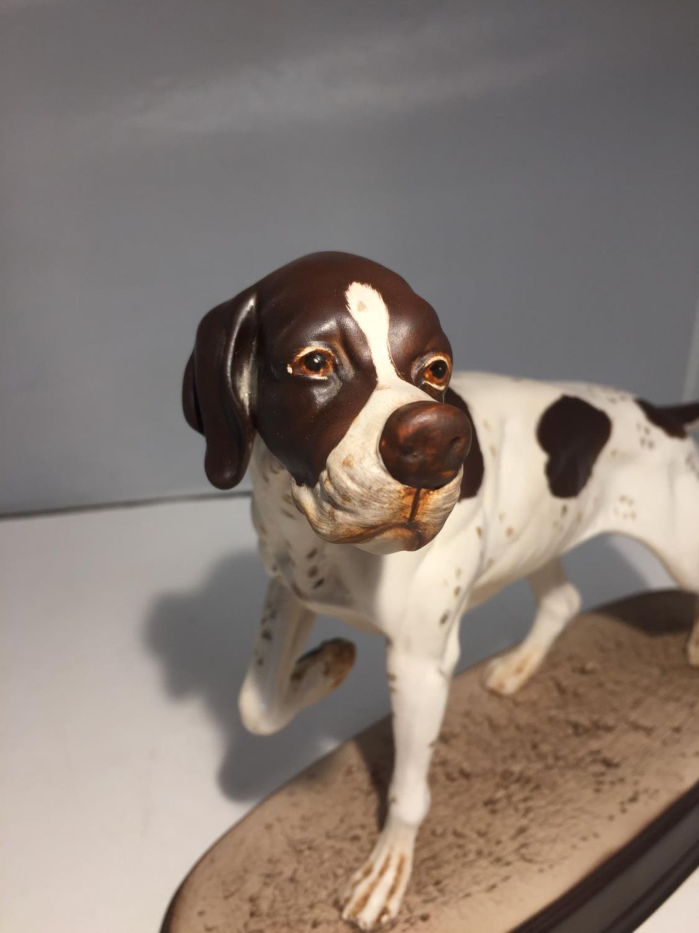 A BESWICK POINTER ON A CERAMIC PLINTH - Image 3 of 6