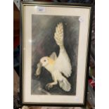 A FRAMED PASTILLE OF AN OWL, SIGNED