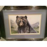 A FRAMED PICTURE OF A HYENA AND A LIMITED EDITION PICTURE OF A BEAR ' BUBU ', 3/125