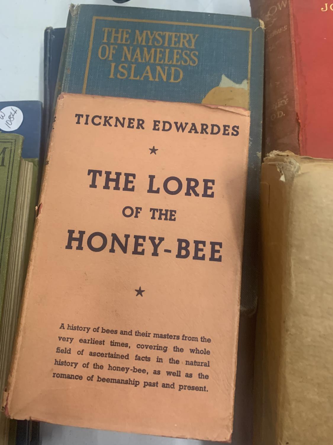 A QUANTITY OF VINTAGE HARDBACK BOOKS TO INCLUDE EMBROIDERY, THE LORE OF THE HONEY BEE, NAVAL RATINGS - Image 3 of 4