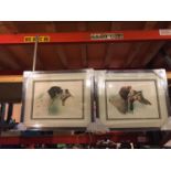 TWO FRAMED PICTURES OF GUN DOGS SIGNED ONE OF WHICH IS A LIMITED EDITION 1/25