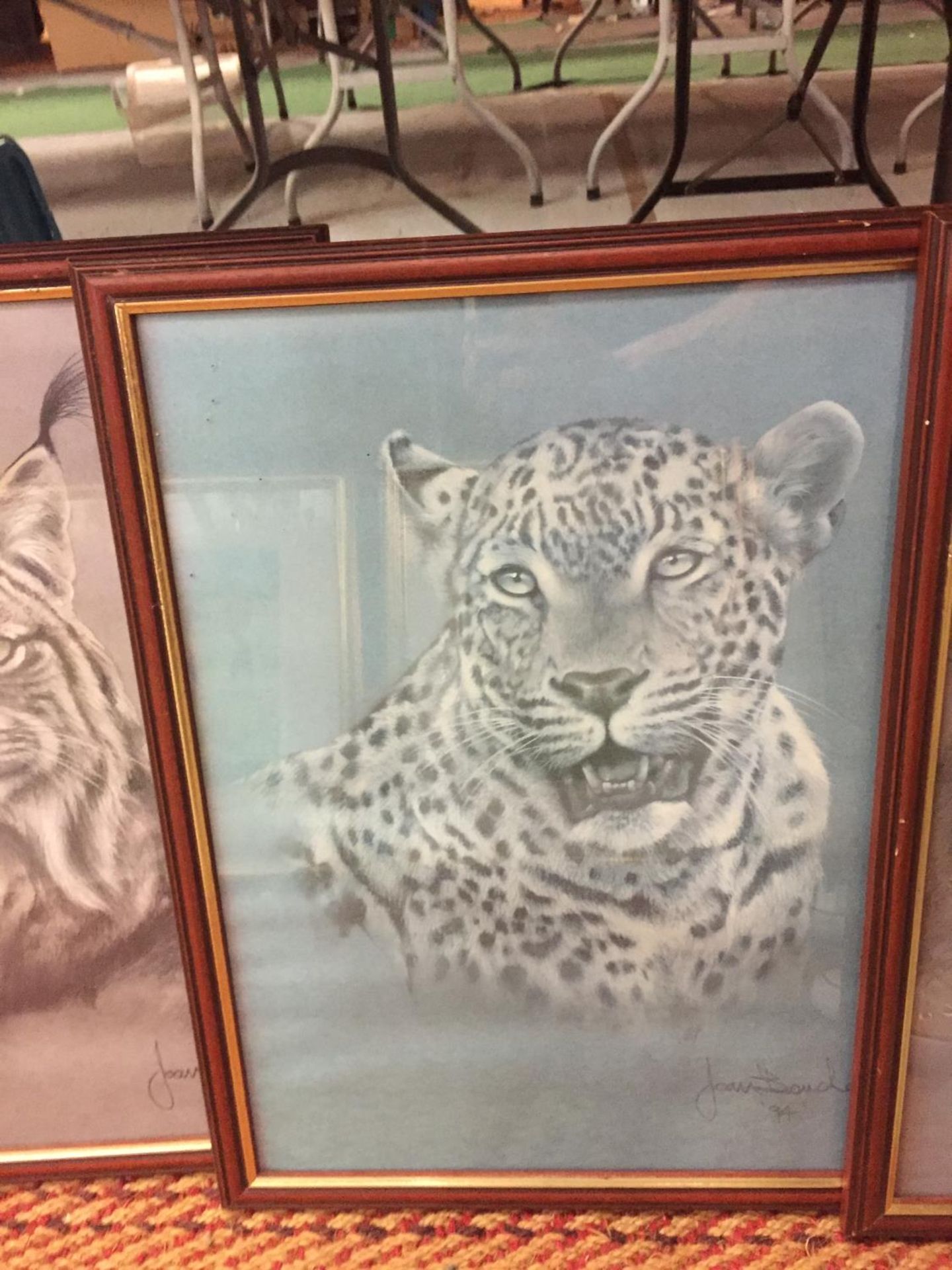 FOUR FRAMED PRINTS OF BIG CATS TO INCLUDE A CHEETAH, JAGUAR, TIGER AND LYNX SIGNED JOAN BENCHE - Image 4 of 5