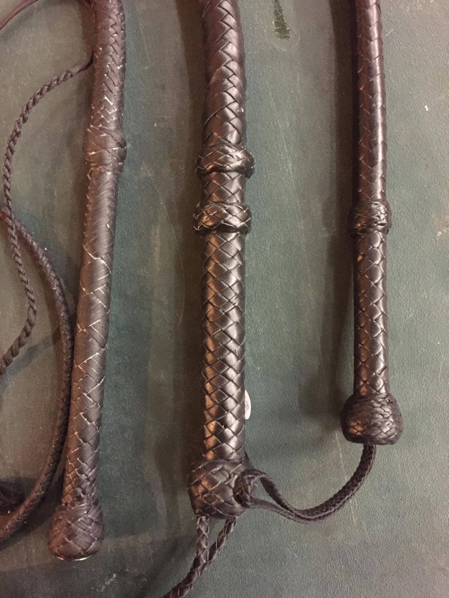 THREE LEATHER WHIPS OF VARYING LENGTHS AND GIRTHS, WITH A PLAITED DESIGN - Image 3 of 3