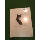 AN ORIENTAL SIGNED PRINT OF A CAT REPOSING. LIMITED EDITION 12/150