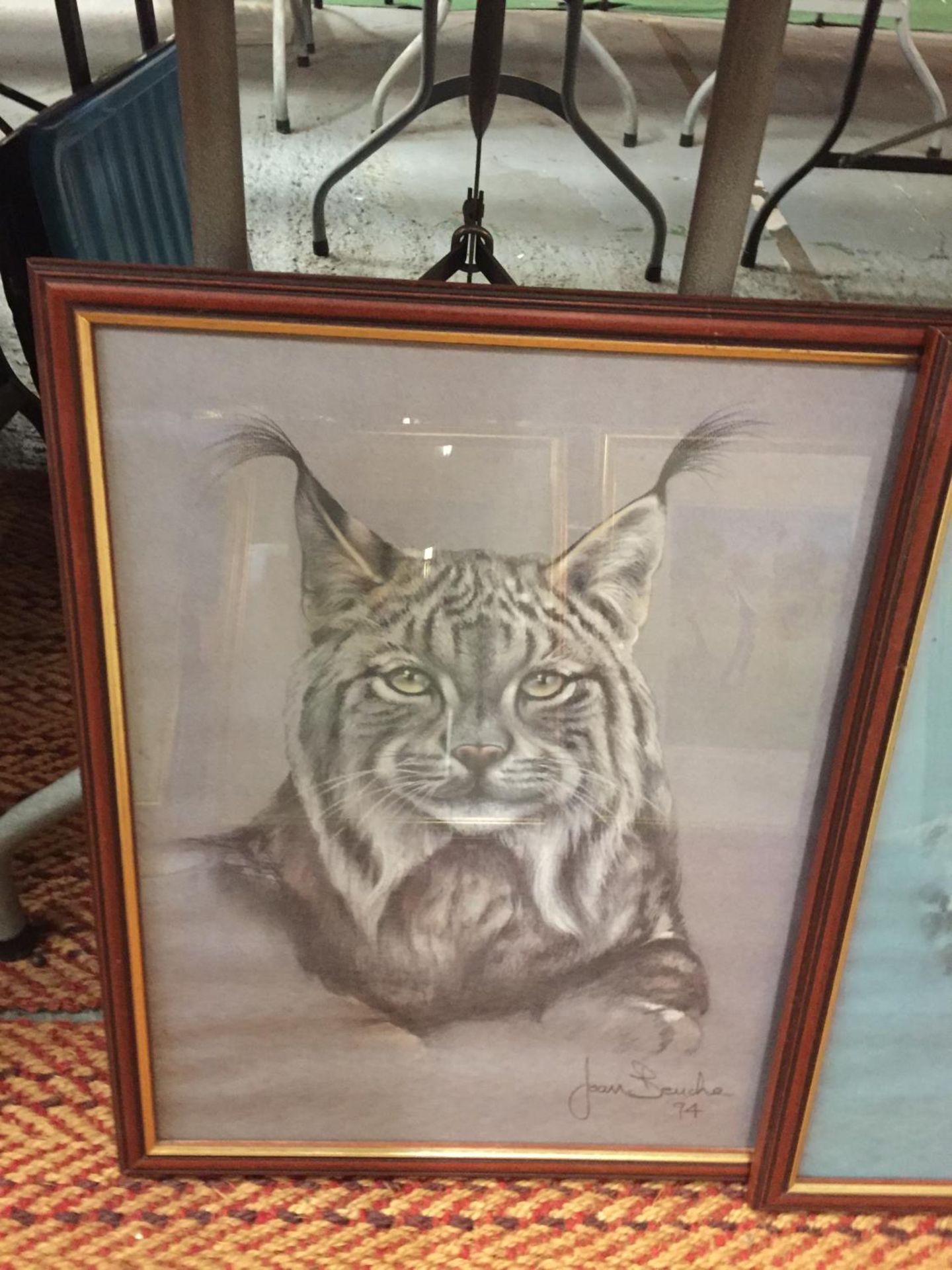 FOUR FRAMED PRINTS OF BIG CATS TO INCLUDE A CHEETAH, JAGUAR, TIGER AND LYNX SIGNED JOAN BENCHE - Image 5 of 5