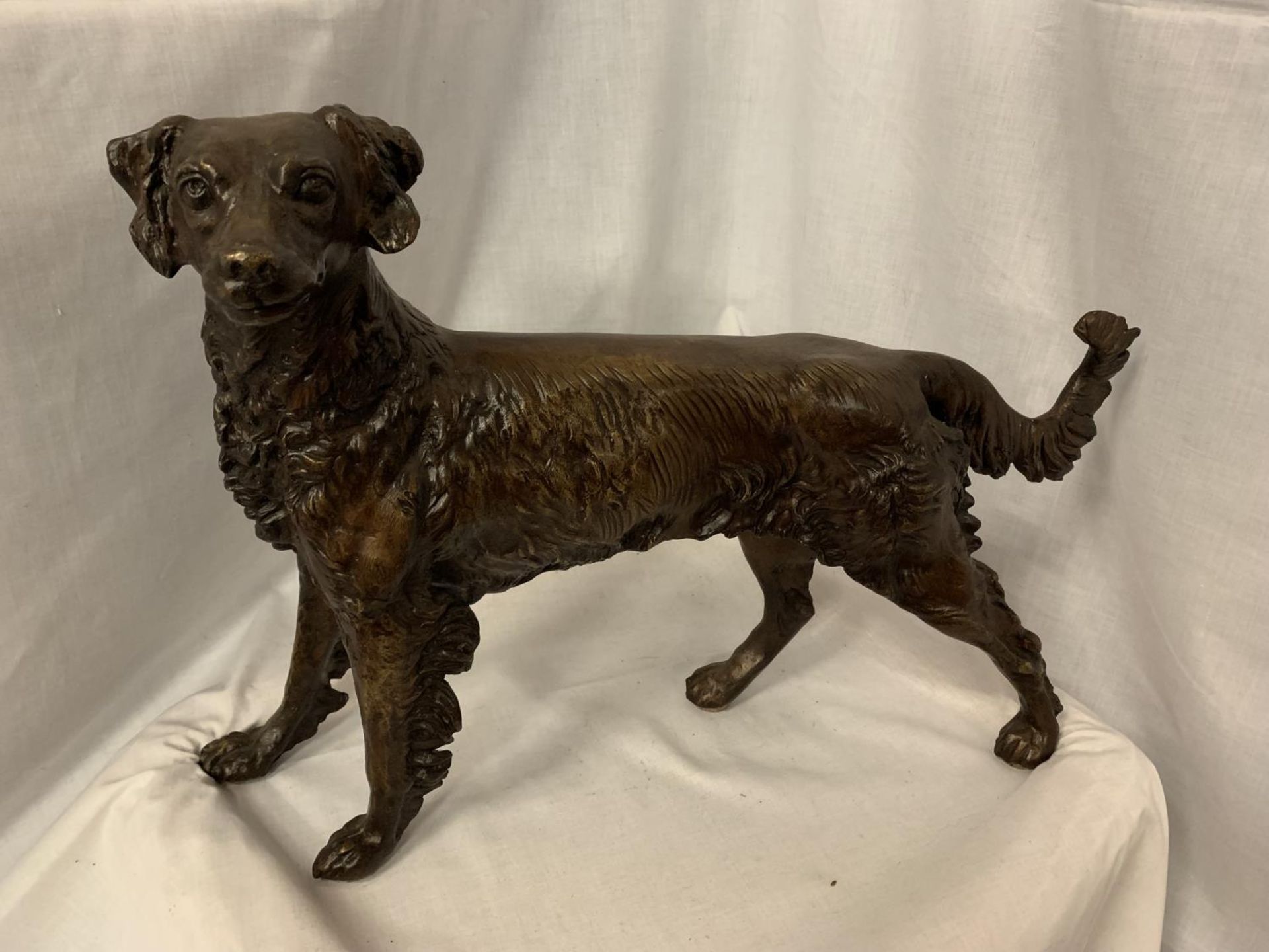 A LARGE BRONZE SCULPTURE OF A GUN DOG - H:36CM