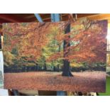 A LARGE PRINT OF CANVAS OF AN AUTUMNAL FOREST SCENE