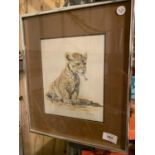 A FRAMED AND MOUNTED PICTURE OF A LION CUB SIGNED SILVIA DURAN