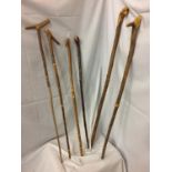 SIX VARIOUS HAND CARVED WALKING STICKS