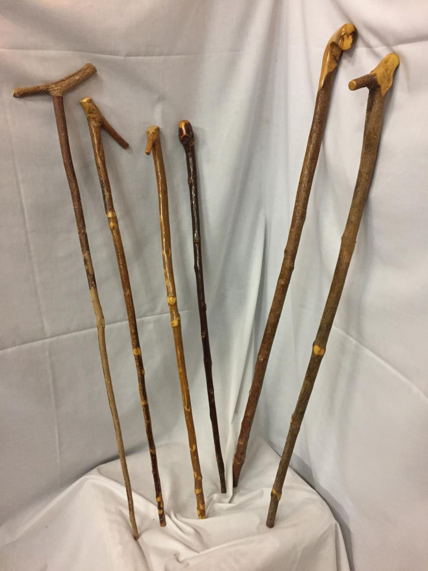 SIX VARIOUS HAND CARVED WALKING STICKS