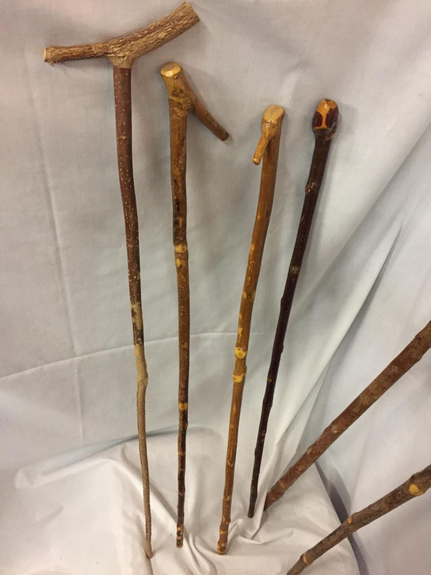 SIX VARIOUS HAND CARVED WALKING STICKS - Image 2 of 7
