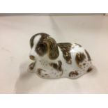 A ROYAL CROWN DERBY COLLECTORS GUILD DOG SCRUFF WITH GOLD COLOURED STOPPER