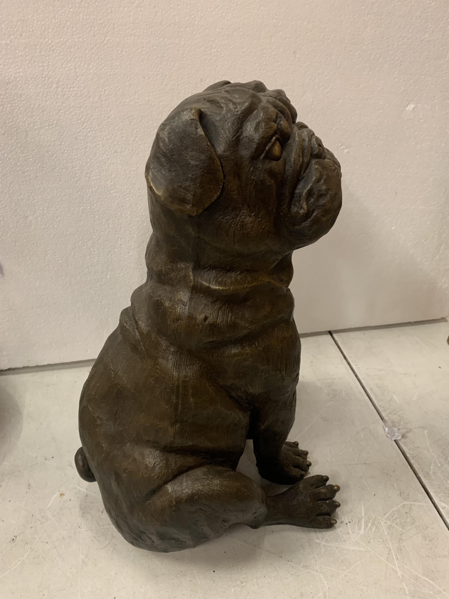 A LARGE BRONZE SCULPTURE OF A PUG SEATED - H:35CM - Image 2 of 3