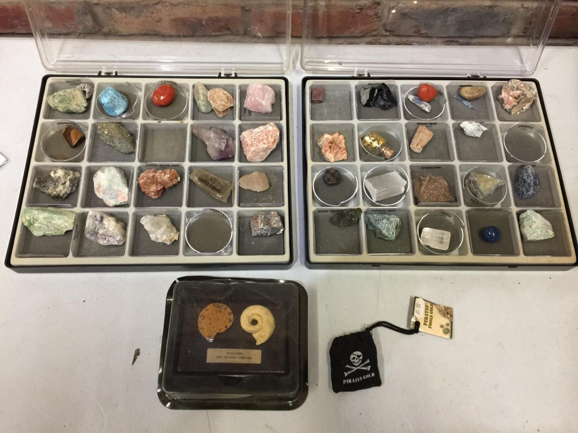 TWO CASED SETS OF ROCKS AND CRYSTALS