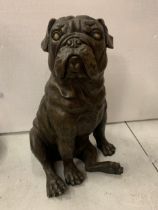 A LARGE BRONZE SCULPTURE OF A PUG SEATED - H:35CM