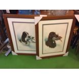 TWO FRAMED PRINTS OF GUN DOGS BY RIAL