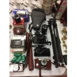 A LARGE AMOUNT OF CAMERA EQUIPMENT TO INCLUDE VOIGTLANDER, OLYMPUS, CHINON, SIGMA AND TRIPODS