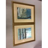 TWO FRAMED IRRIDESCENT SILK STYLE PICTURES