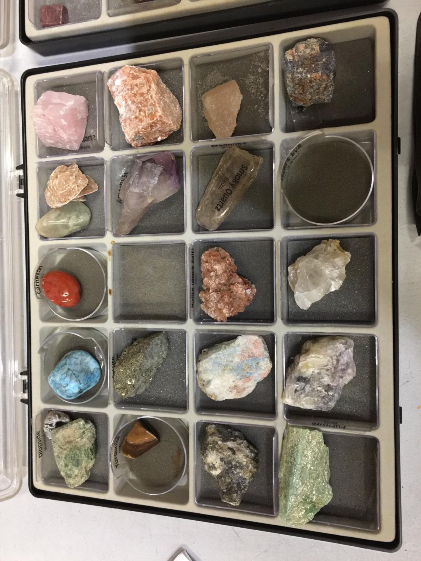 TWO CASED SETS OF ROCKS AND CRYSTALS - Bild 2 aus 4