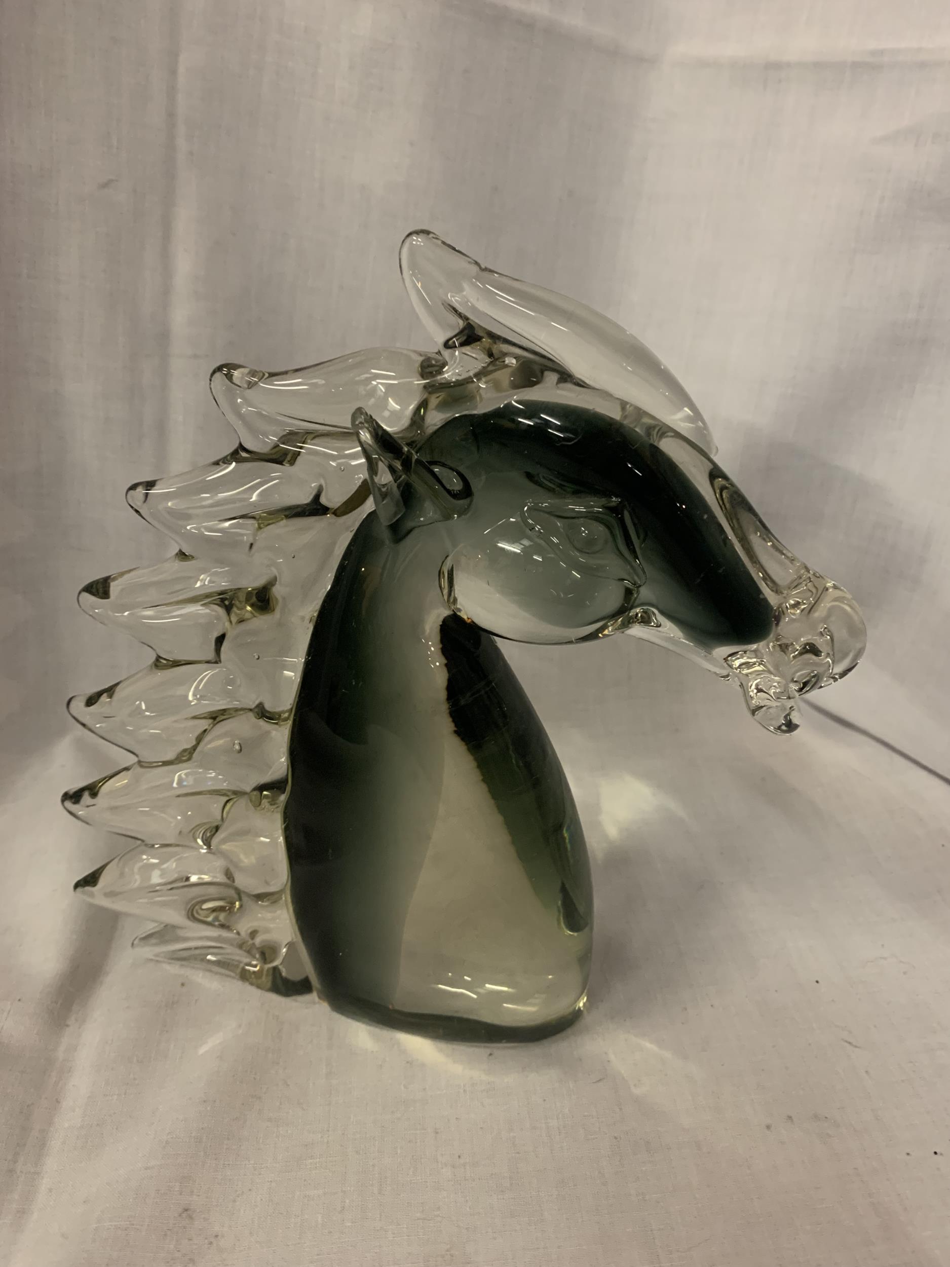 A GLASS ART HORSES HEAD