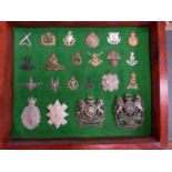 A GLAZED DISPLAY CASE CONTAINING TWENTY TWO BRITISH ARMY CAP BADGES, 34 CM X 41 CM