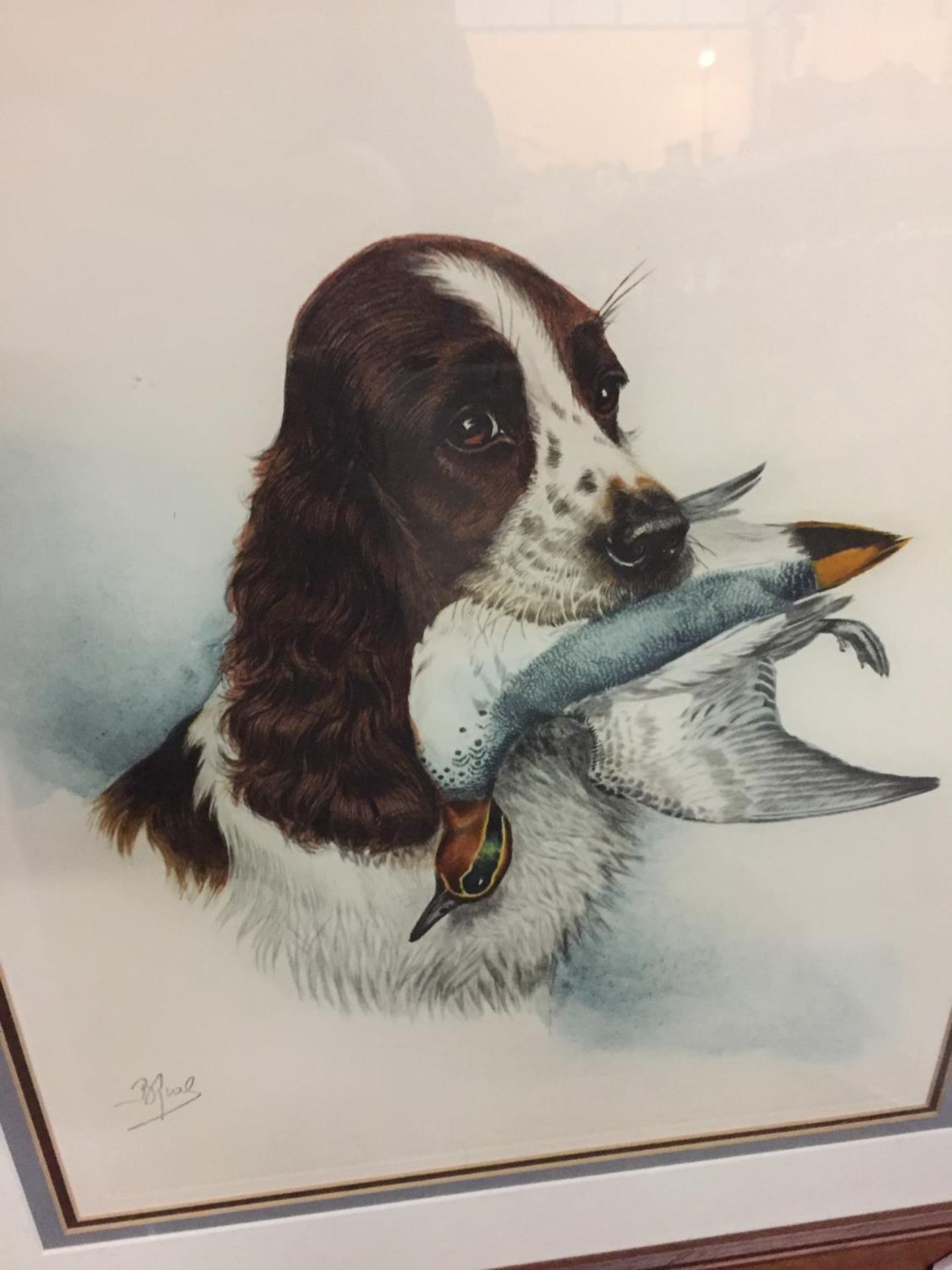 TWO FRAMED PRINTS OF GUN DOGS BY RIAL - Image 4 of 4