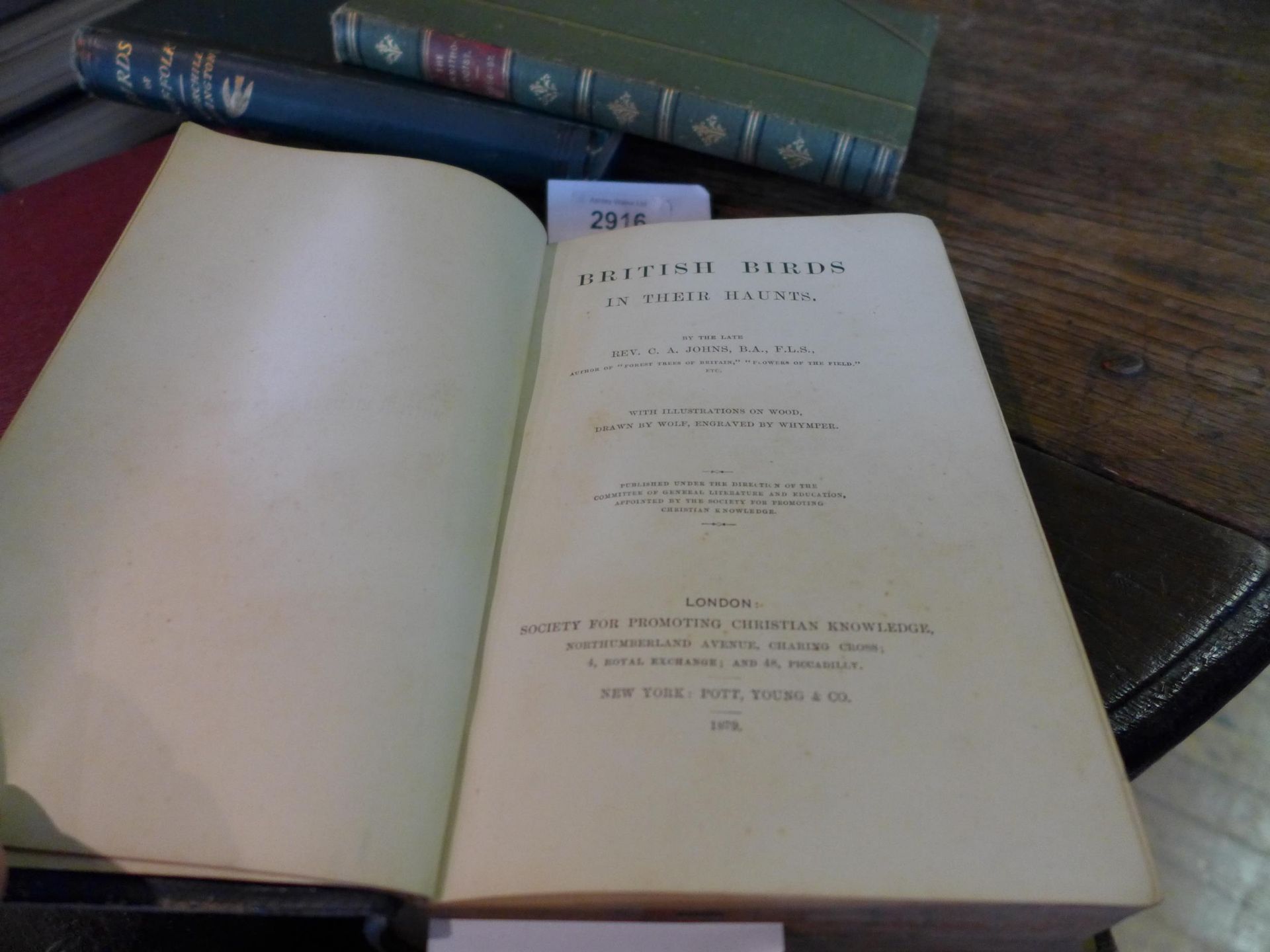 FOUR BOOKS ON BIRDS TO INCLUDE REV JOHNS 'BRITISH BIRDS IN THEIR HAUNTS', LONDON 1871, 'THE IBIR' - Image 2 of 5