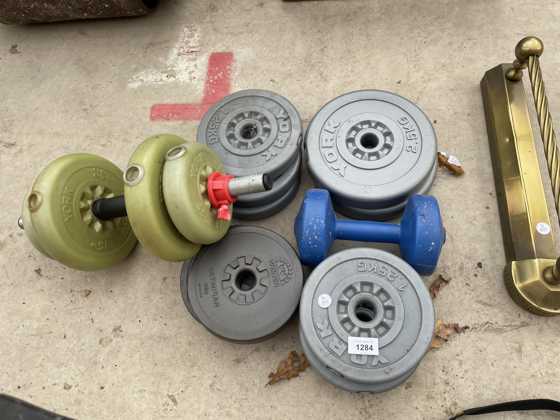 AN ASSORTMENT OF YORK AND WEIDER WEIGHTS